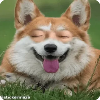 🐶 emoji @stickermaze│@stickerXhub│🌸HAK Telegram sticker 19 of 31