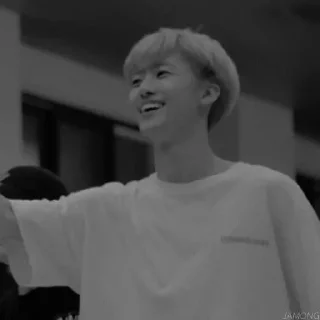 🐾 emoji — jαemin nct dαrk @randommateriall Telegram sticker 22 of 31
