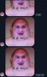 🌟 emoji філософія сасеу кунірасе Telegram sticker 20 of 74
