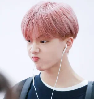 Sticker from Park Jisung ⌇ @WCINTERBEAR