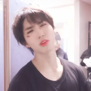 🐿 emoji ⋆  ̥ han jisung — @lilhyunjin Telegram sticker 21 of 45