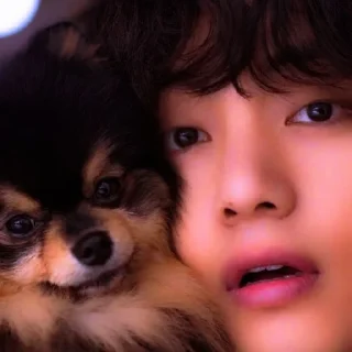 🐾 emoji taehyung soft @bigelpunya Telegram sticker 14 of 31