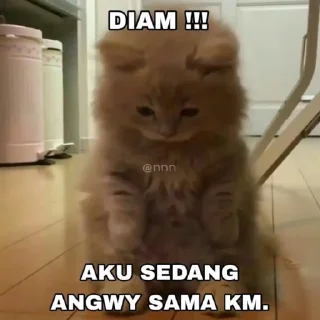 😤 emoji kemungkinan joel Telegram sticker 10 of 79