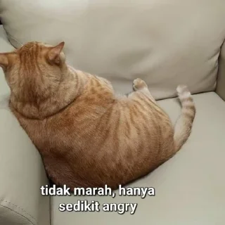 😠 emoji kemungkinan joel Telegram sticker 9 of 79