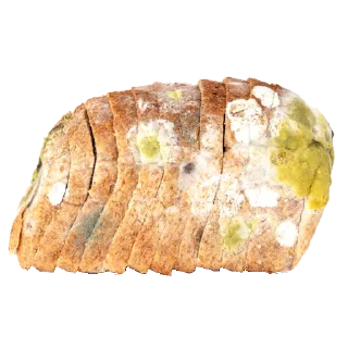 🥖 emoji Bread ҂ @EscPacks Telegram sticker 6 of 14