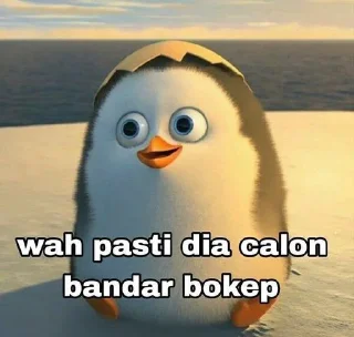 Sticker from Madagascar @F0xInn