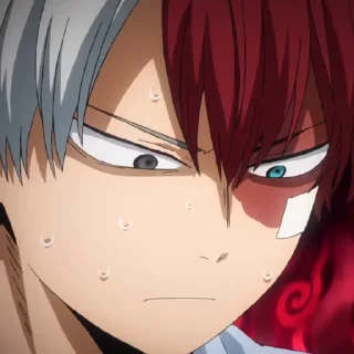 Sticker from Shoto Todoroki @Hanim1O
