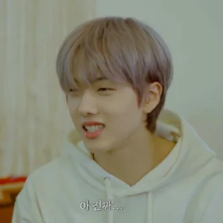 🐹 emoji PARK JISUNG V2 ⋆ @ARTHEAS Telegram sticker 14 of 120