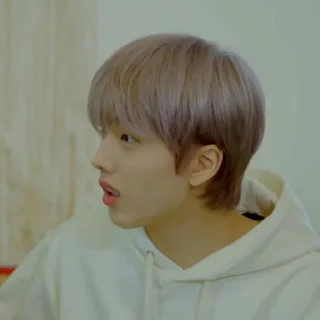 🐹 emoji PARK JISUNG V2 ⋆ @ARTHEAS Telegram sticker 10 of 120