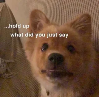 😶 emoji react pics (kinda), @laveinder Telegram sticker 23 of 27