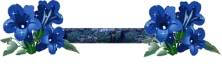 🎁 emoji @SiliconValleyBoy Kang Pack 1 Telegram sticker 17 of 73