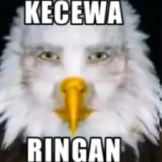 Sticker from Elang pacar Lisa 😙