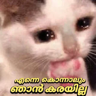 Sticker from @Farseen_king_of_telegram 𝙻𝙰𝚂𝚃