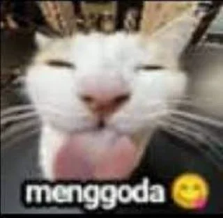 😝 emoji Internet Meme's (@CalsiBot) Telegram sticker 24 of 50