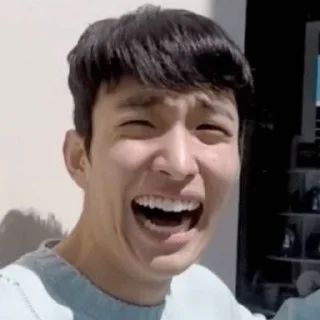 😂 emoji Seventeen Derp Telegram sticker 8 of 65
