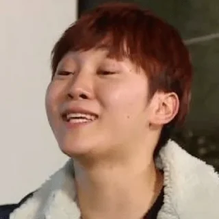 😏 emoji Seventeen Derp Telegram sticker 22 of 65