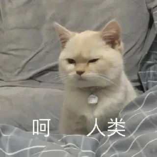 🤔 emoji 沙雕系列  @tiezhibao1 Telegram sticker 12 of 47