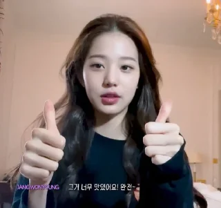 🫡 emoji Wonyoung IVE Telegram sticker 7 of 31