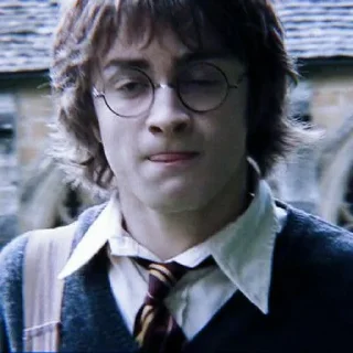 ☘️ emoji ✧ˎˊ Harry potter Memes• @Leviosaasticker Telegram sticker 15 of 35