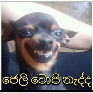 😆 emoji Soul_hell_ official pack Telegram sticker 21 of 120