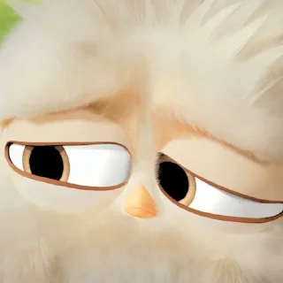 ♾ emoji angry bird v3 @fotbarpi Telegram sticker 10 of 28