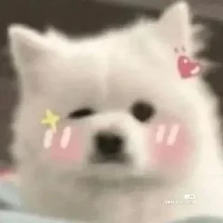 🌟 emoji oshimeinu~修狗 Telegram sticker 7 of 41