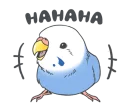 🤣 emoji Small birds sticker! Telegram sticker 10 of 40