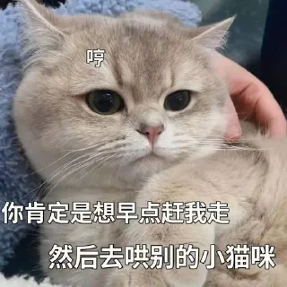 🐱 emoji 猫猫 更多表情👉 @emo315 Telegram sticker 20 of 91