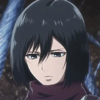 🍂 emoji Mikasa Ackerman Telegram sticker 17 of 58