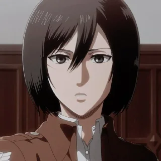 🍂 emoji Mikasa Ackerman Telegram sticker 15 of 58
