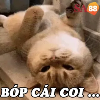 Sticker from @SA8828 NỀN TẢNG UY TÍN KHÔNG LO LẮNG VỚI SỐ TIỀN LỚN
