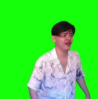 🐷 emoji Green Screen Erpan@Mpus_mpus Telegram sticker 7 of 18