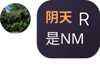👩‍🦰 emoji 树枝DreamRu Telegram sticker 15 of 30