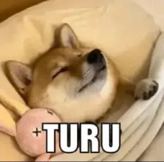 😴 emoji kanjut Telegram sticker 5 of 32