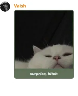 😌 emoji Cat pussy cat Telegram sticker 16 of 22