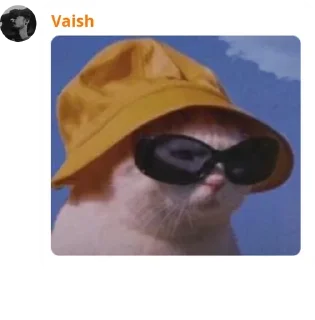 😎 emoji Cat pussy cat Telegram sticker 10 of 22