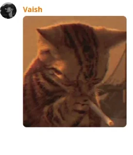 😶 emoji Cat pussy cat Telegram sticker 15 of 22
