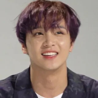 🐻 emoji haechan @APLAEPEIDI Telegram sticker 14 of 31