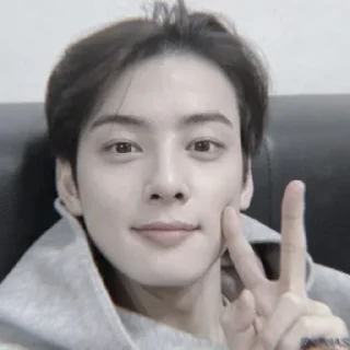 ⚓️ emoji eunwoo @APLAEPEIDI Telegram sticker 7 of 20