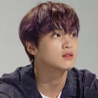 🐻 emoji haechan @APLAEPEIDI Telegram sticker 13 of 31