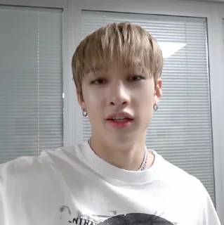 Sticker from BANGCHAN by. @taerastickers