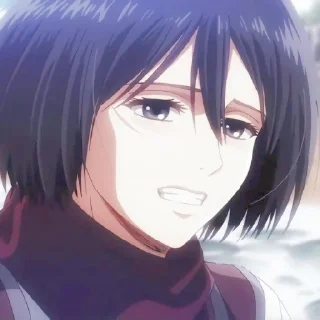 🔖 emoji ✷ ࣪˖ Mikasa ackerman  ִֶָ @yourtikel Telegram sticker 22 of 25