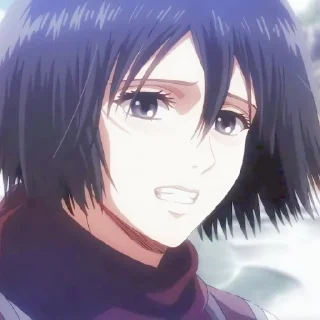 🔖 emoji ✷ ࣪˖ Mikasa ackerman  ִֶָ @yourtikel Telegram sticker 21 of 25