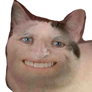 😀 emoji cats Telegram sticker 11 of 120