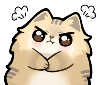 ⭐ emoji ruru and 3 cats @stickieri Telegram sticker 24 of 108