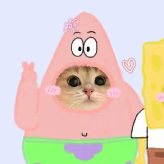 🌟 emoji @Opstickerpacks ✨cute cats⚡️🌸 Telegram sticker 9 of 36
