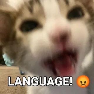 🤬 emoji Silly cats! x3 — @KElJll Telegram sticker 24 of 29