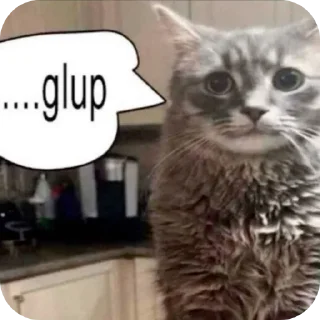 🐱 emoji Relatable stuff 🫂 Telegram sticker 7 of 20