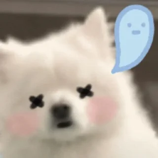 Sticker from SHURA'S dog