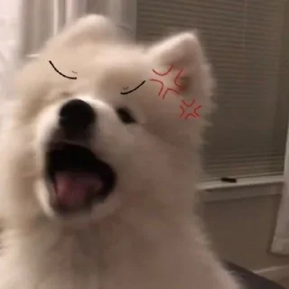 🐶 emoji Cute dog Telegram sticker 17 of 49